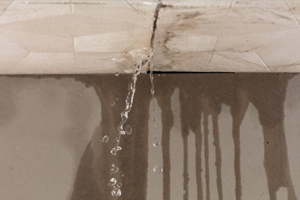 Professional Burst Pipe Cleanup technician working in Graham, WA